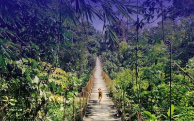Pesona Wisata Tangkahan: Surga Tersembunyi di Leuser, Sumatera Utara